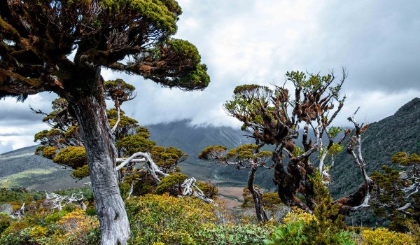 Discover New Zealand through a new lens